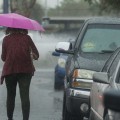 Which state has the highest pedestrian death rate?
